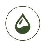 iocn1.png